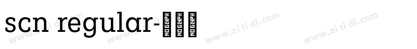 scn regular字体转换